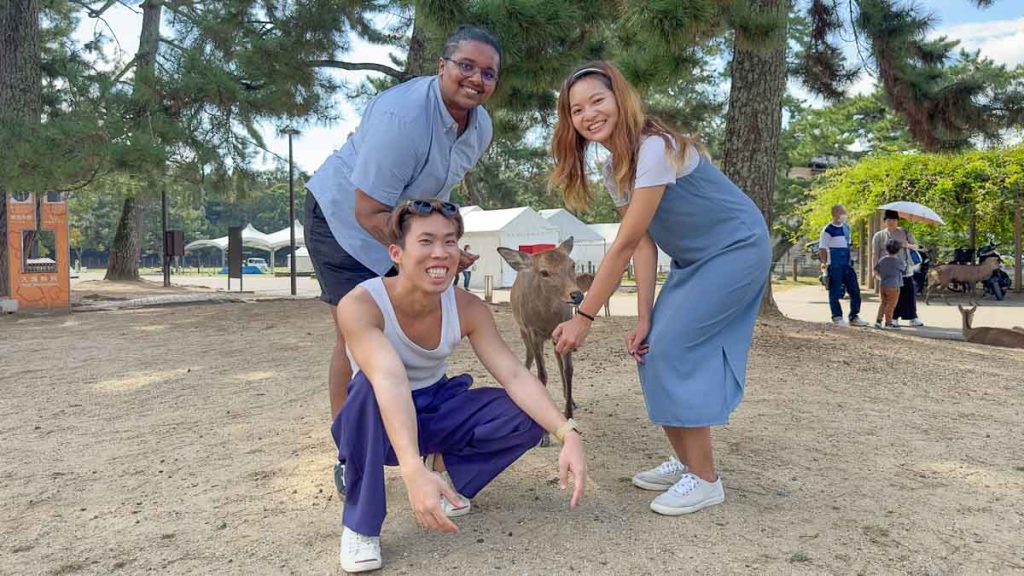 People with Deers at Nara Park - Things to do in Osaka