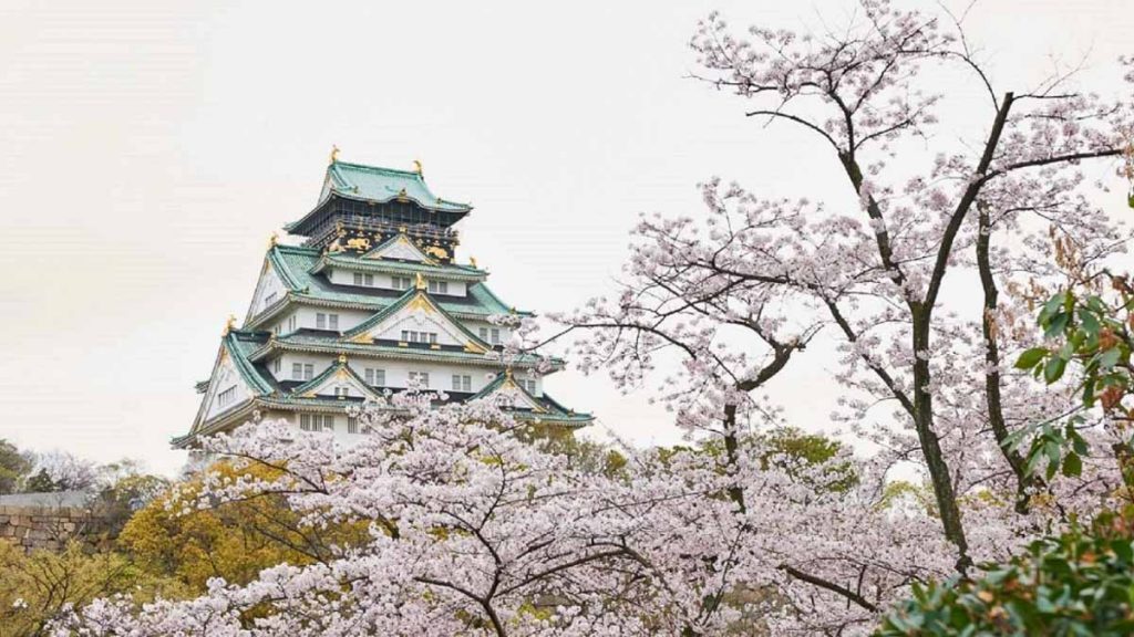 Cherry Blossom Trees with Osaka Castle - Things to do in Osaka