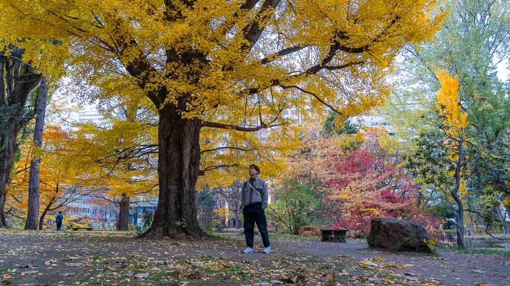 Sapporo Kita 3-jo Plaza Garden - Hokkaido Itinerary