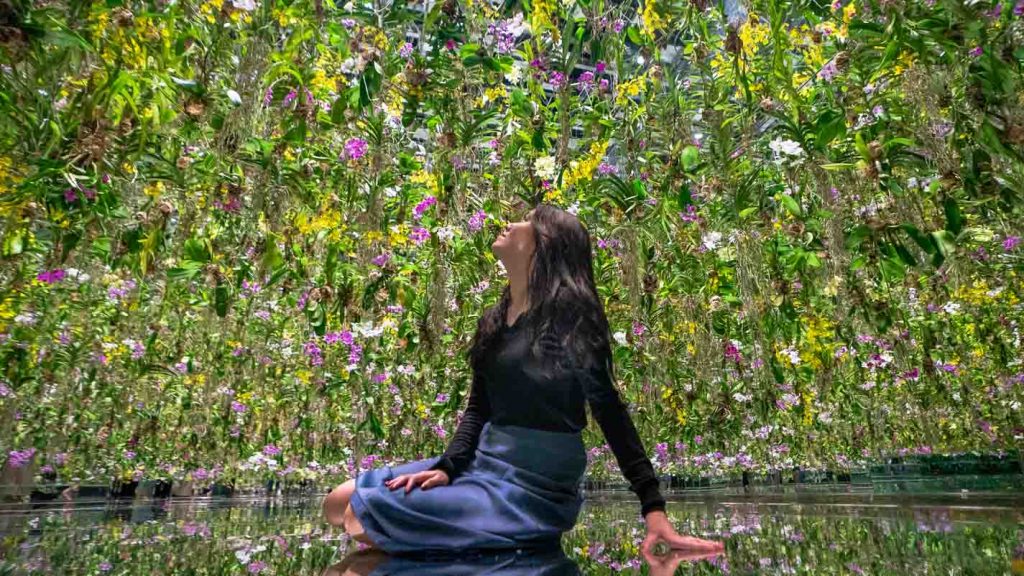 Girl looking at flower display at teamLabs Planets Tokyo - Japan Itinerary