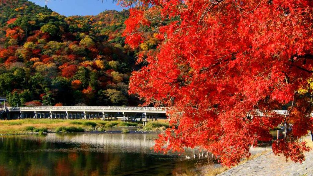 Togetsukyo Bridge in Autumn - Things to do in Arashiyama