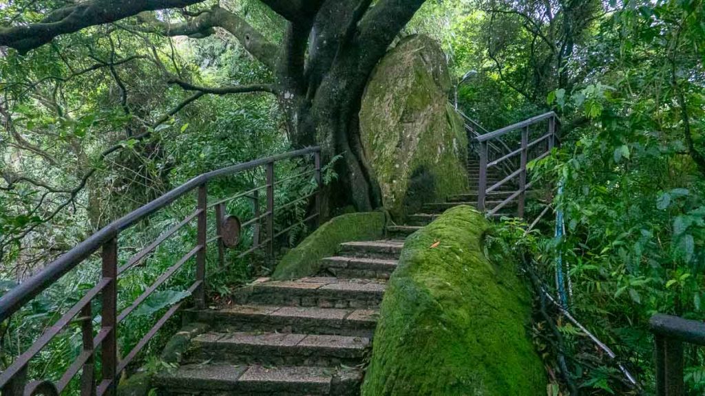 steps during elephant mountain xiangshan hike - taipei itinerary