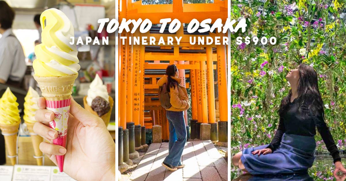 10-Day Japan Itinerary For First Timers Under S$900 — Tokyo to Osaka ...