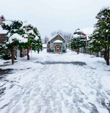 Featured Image -Hokkaido First-timer's Itinerary