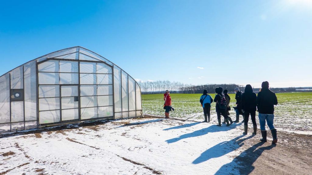 People walking along hokkaido farm - Hokkaido First-timer Itinerary