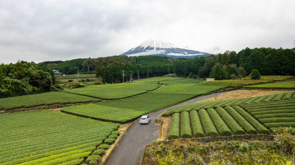 Drone shot of Mt Fuji behind Obuchi Sasaba Tea Plantation
