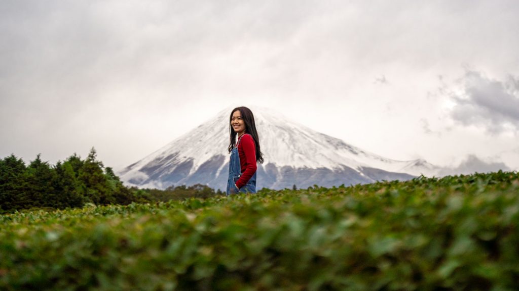 Girl walking in tea plantation in front of Mt Fuji