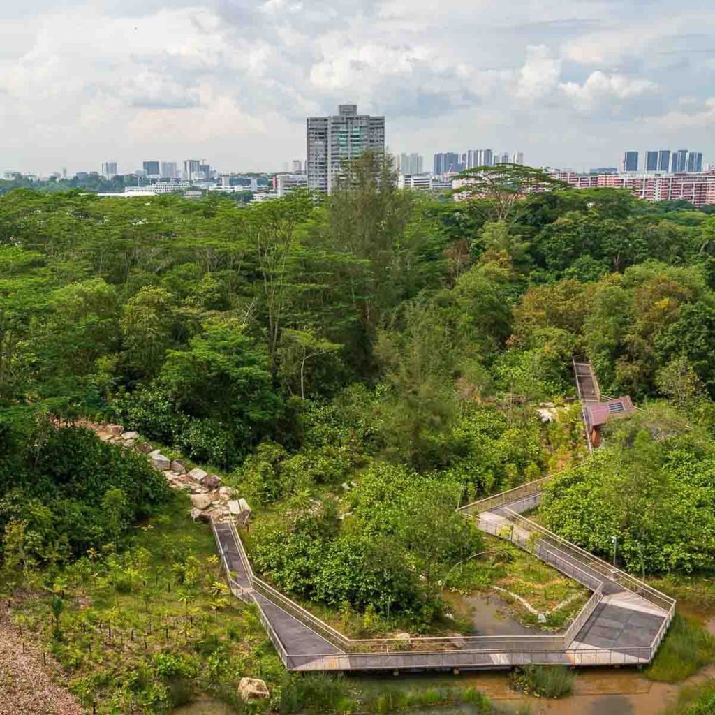 Rifle Range Nature Park boardwalk - Things to do in Singapore Dec 2022