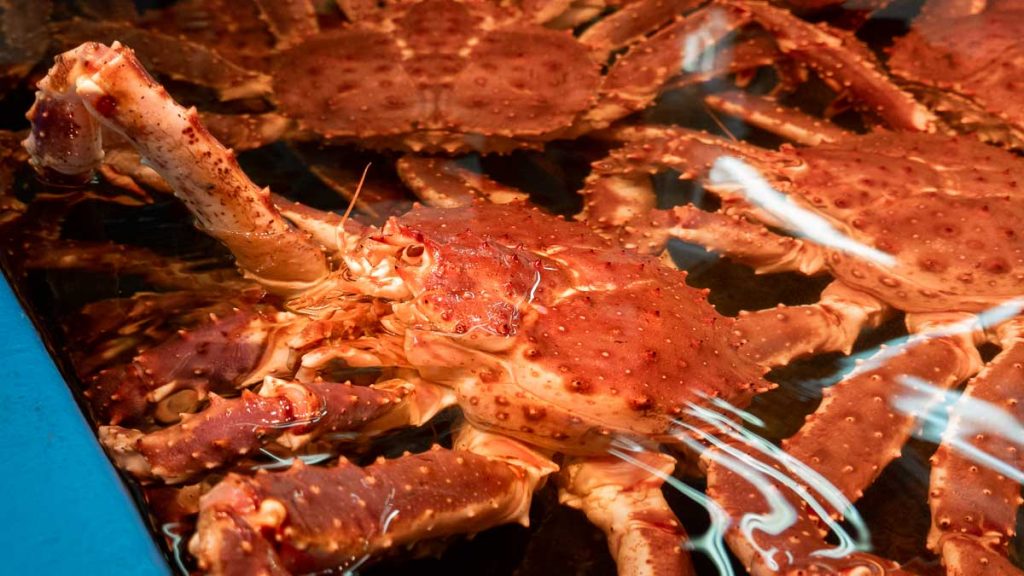 Sankaku Fish Market crab