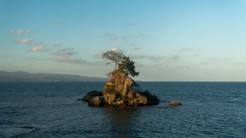 Tree in the middle of the sea of Japan