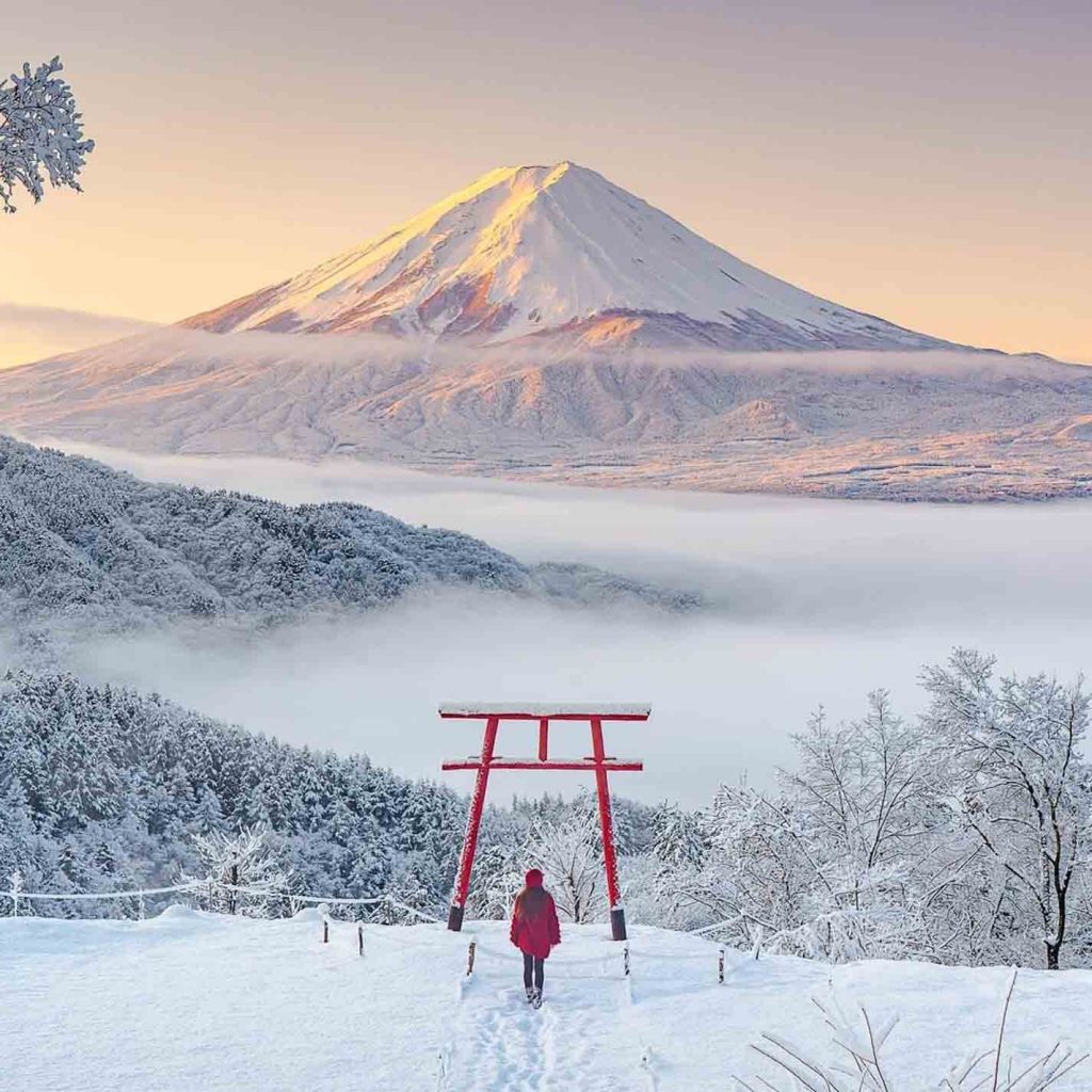 Woman standing in front of tori gate while looking at Mt Fuji