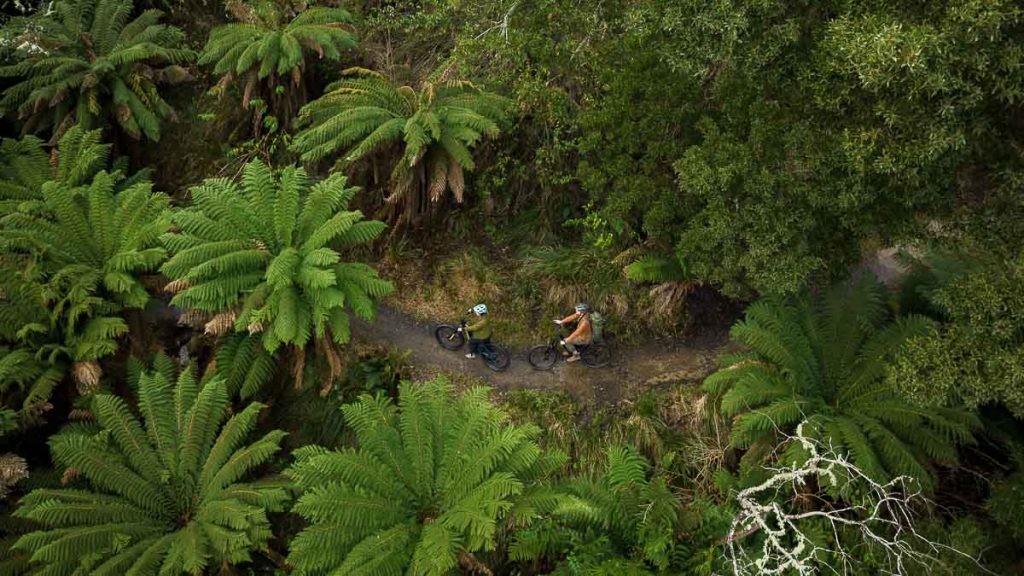 Blue Derby Mountain Bike Trails Drone Shot - Things to do in Tasmania