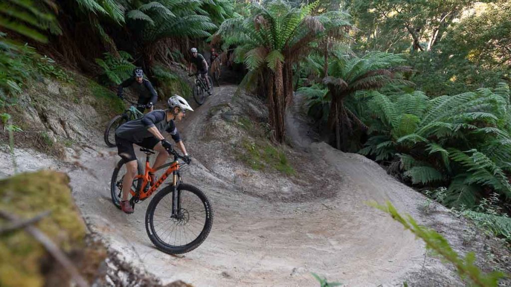 Blue Derby Mountain Biking Pods Ride - Things to do in Tasmania