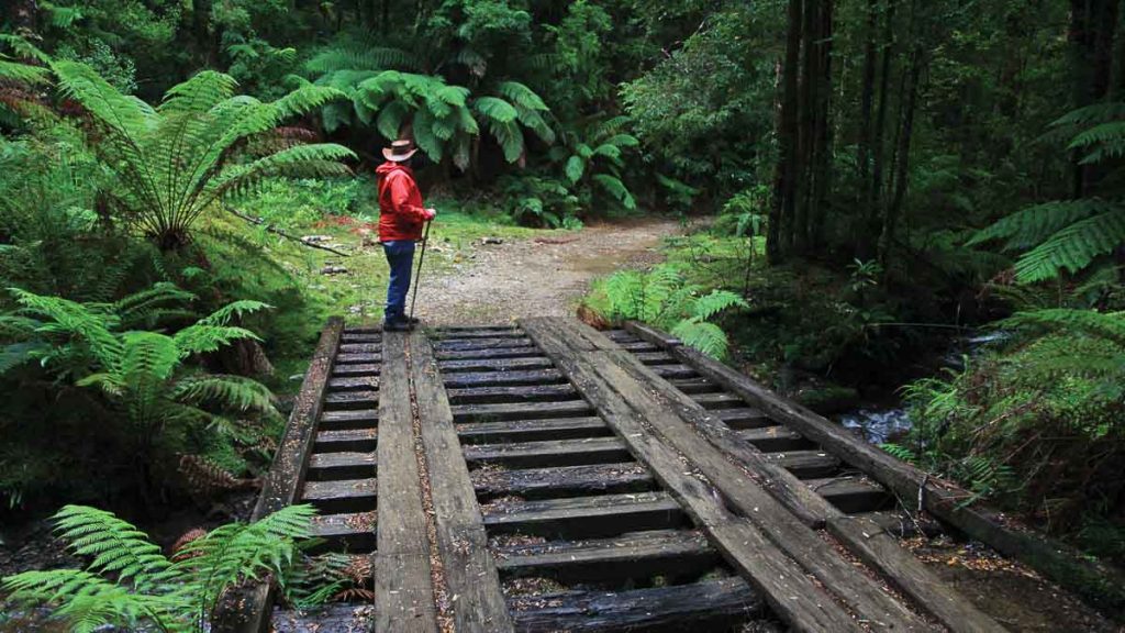 Hiker on Montezuma Walking Track - Australia Itinerary