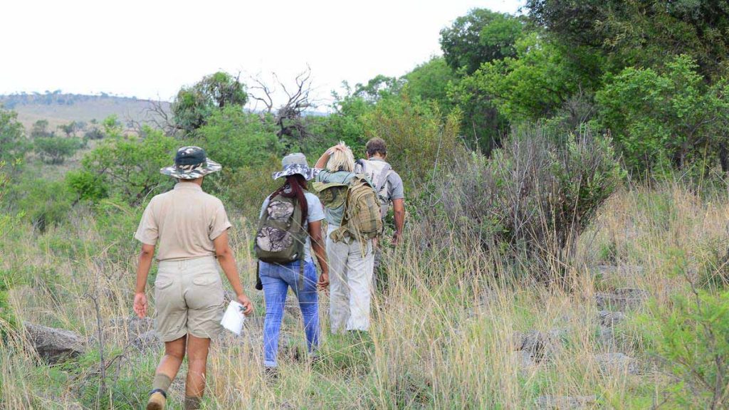 Bushwalking in Kruger - Kruger Safari The Travel Intern