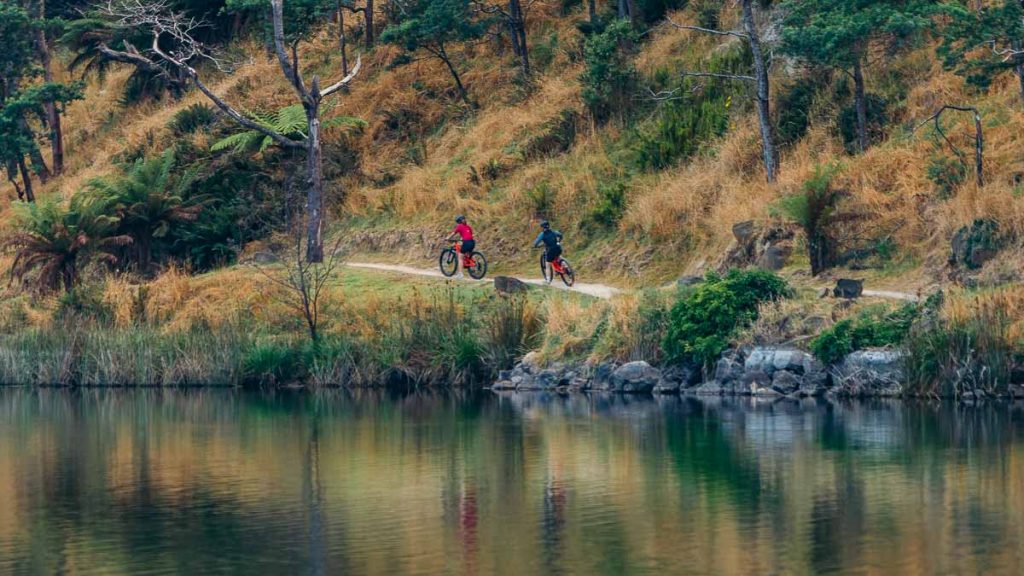 Derby Mountain Biking - Tasmania Itinerary