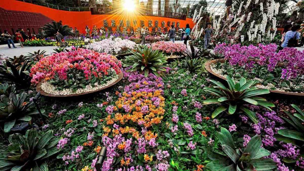 Gardens by the bay flower dome - Things to do in Singapore Jan - Feb 2023