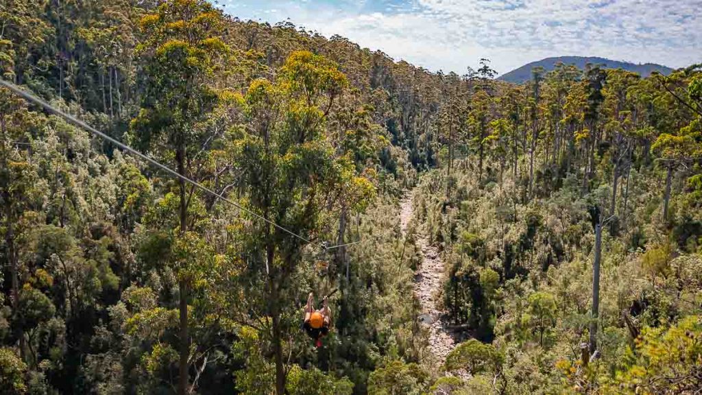Hollybank Treetops Adventure Zipline Tour - Things to do in Tasmania