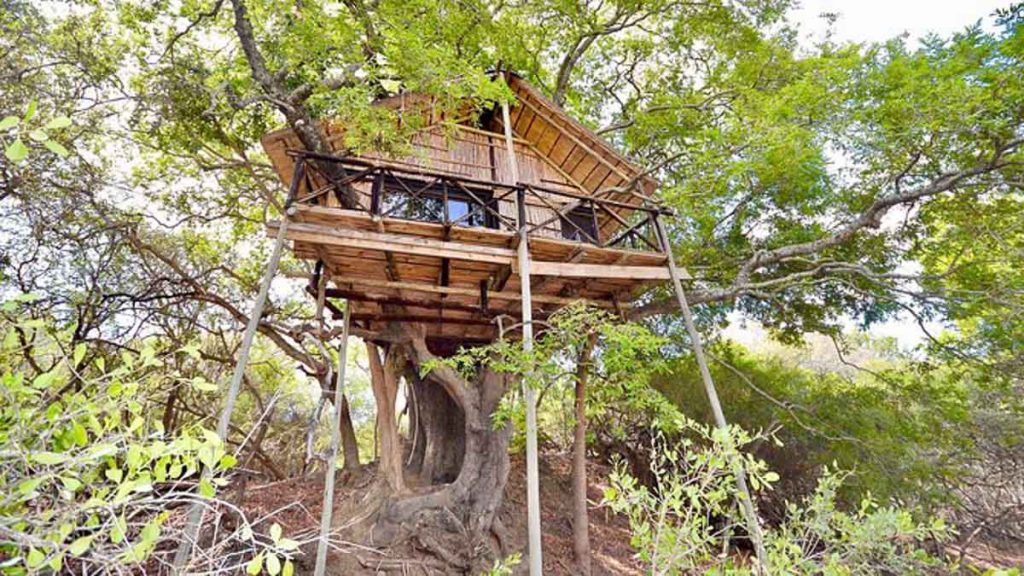 Marc's Treehouse Lodge - Kruger Safari The Travel Intern