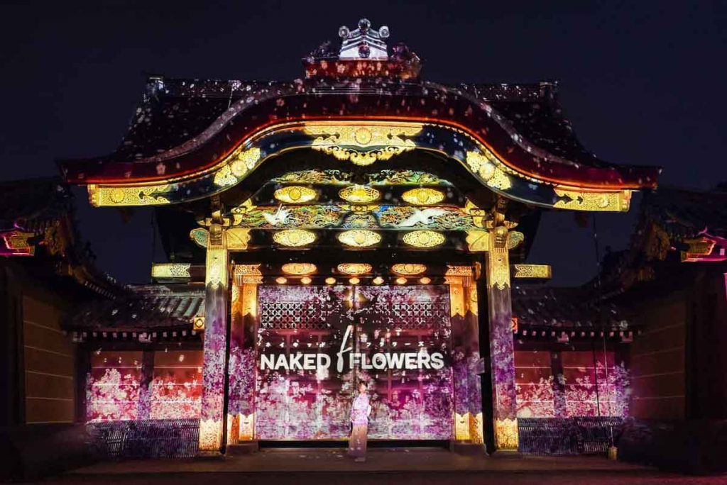 NAKED flowers Nijo Castle cherry blossom festival - Japan Cherry Blossom Guide