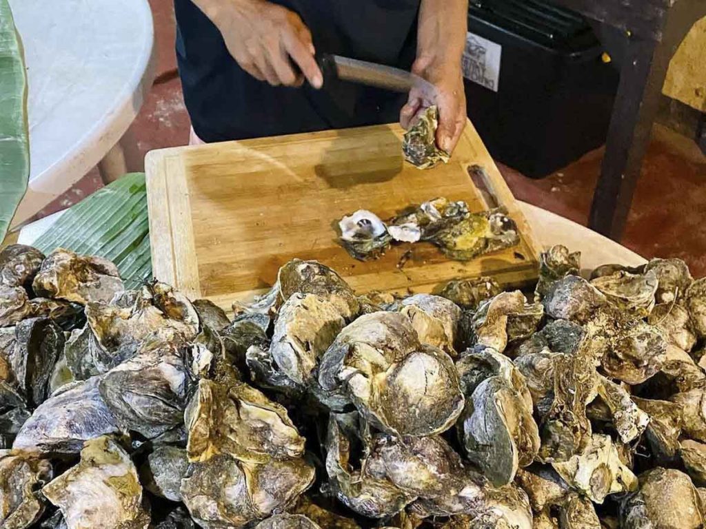 Oysters in Roxas - Things to Do in the Philippines