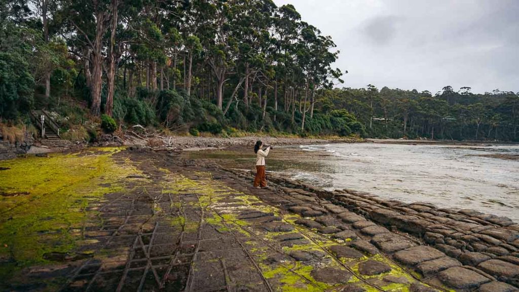 Tasman National Park Tessellated Pavement Eaglehawk Neck - Tasmania Itinerary