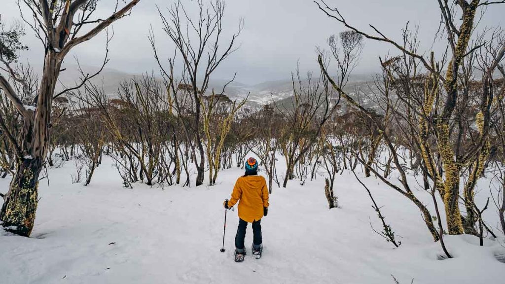 Thredbo Snowshoe Tour - New South Wales Winter Itinerary