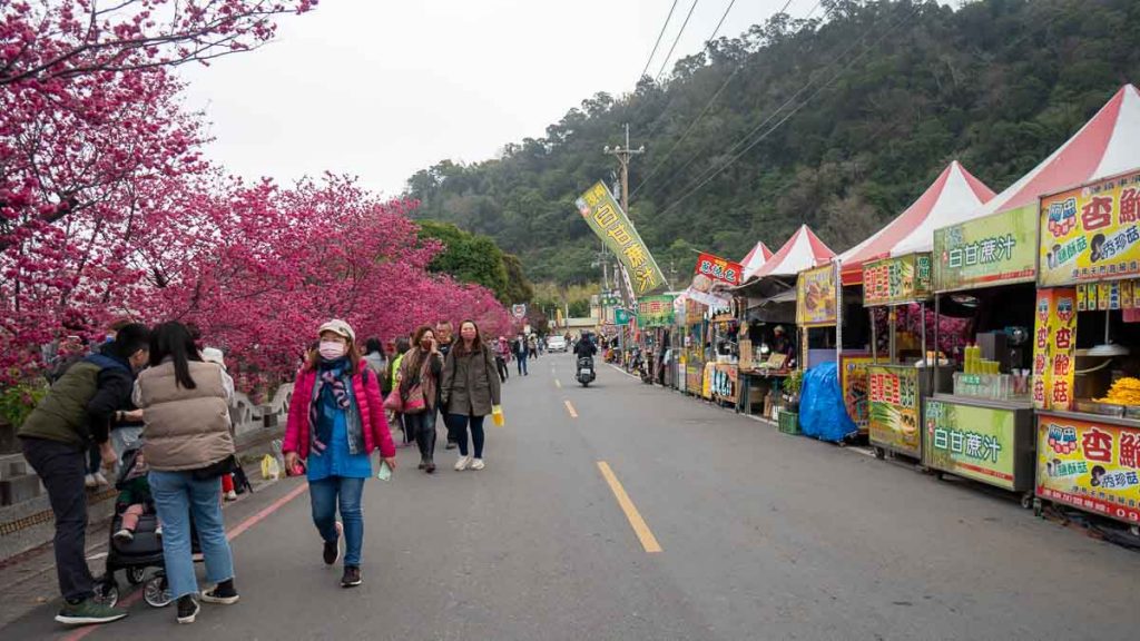 cherry blossoms at tai'an police station - things to do in taiwan