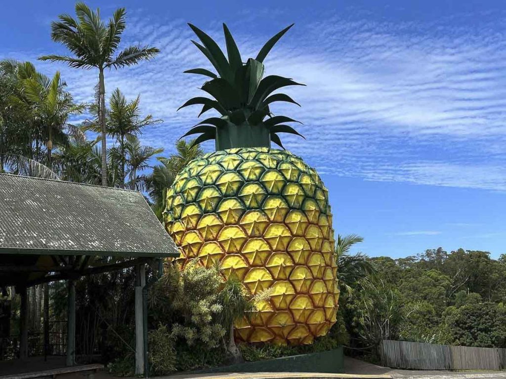 Big Pineapple - Queensland Itinerary