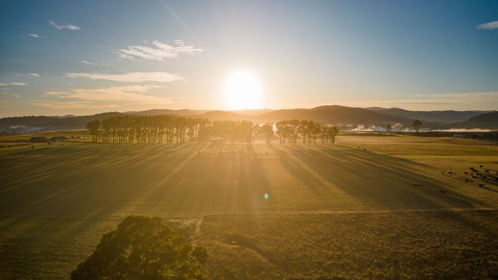 Derby Sunrise - Tasmania Road Trip