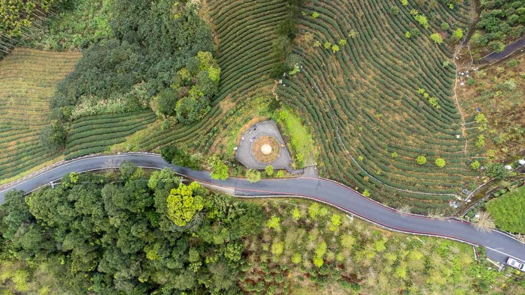 Drone Shot of Bagua Tea Plantation - Taipei Itinerary