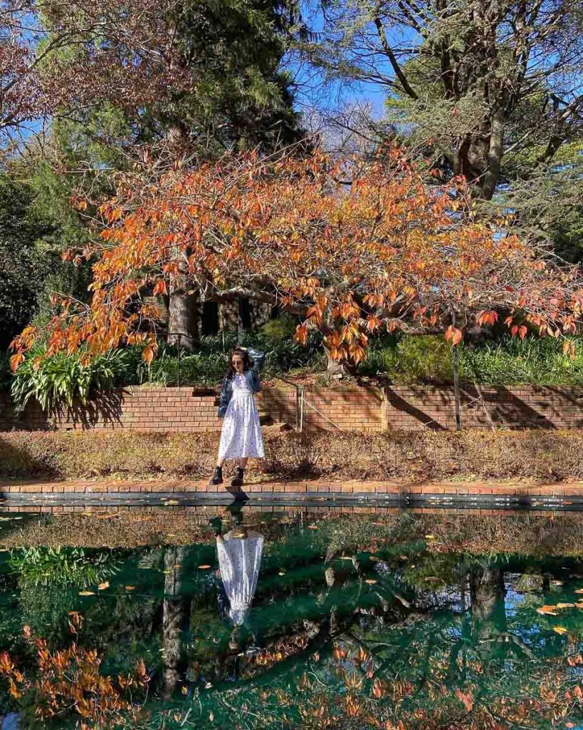 nsw places to visit in autumn