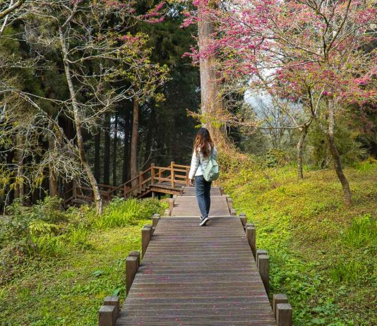 Featured Cover Image - Taiwan Itinerary