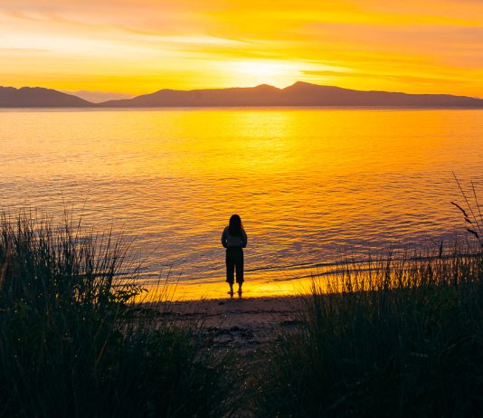 Featured - Tasmania Road Trip