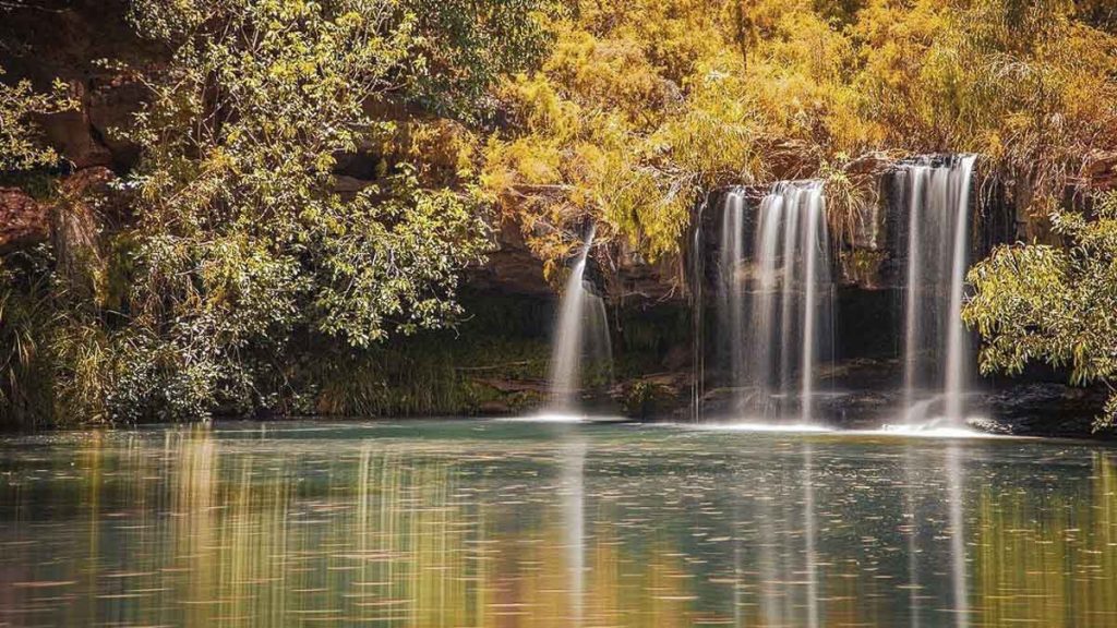 Shot of Fern Pool Waterfalls - Australia Activities