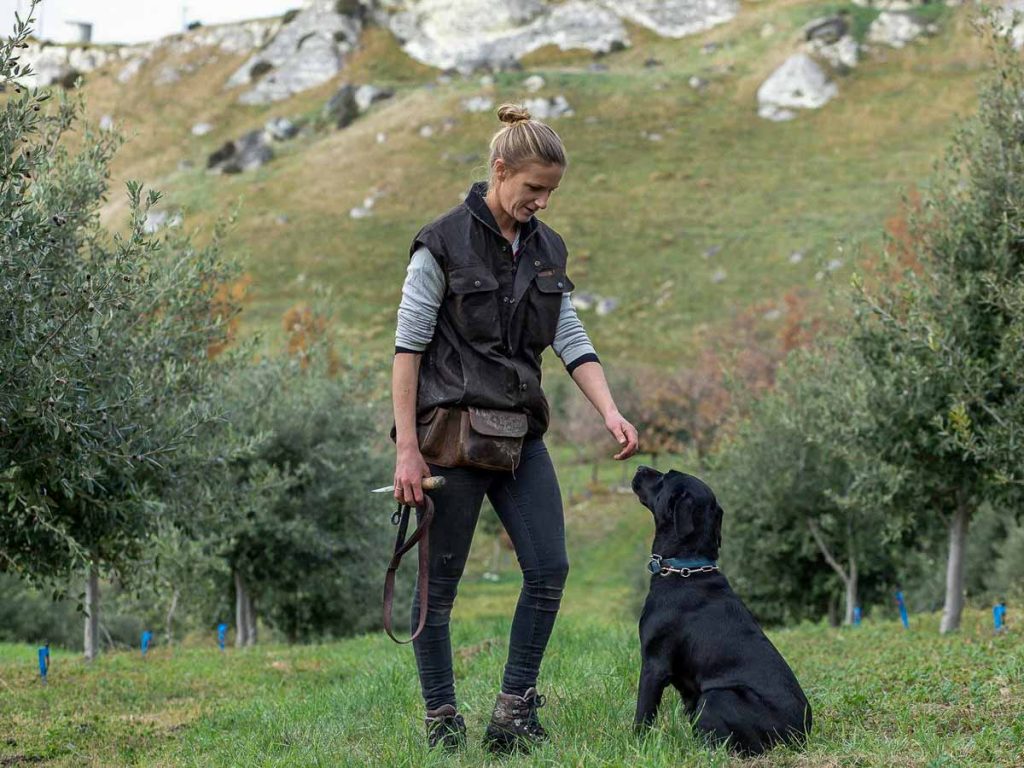 Woman and dog foraging for truffles in New Zealand - New Zealand Off Peak guide
