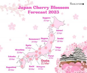 Ultimate 2023 Cherry Blossom Japan Guide — Everything you need to know ...