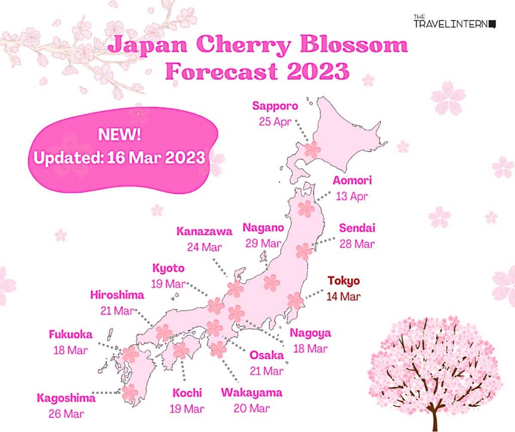 Latest Sakura update 16 march 2023 - Ultimate Japan Cherry Blossoms Guide_