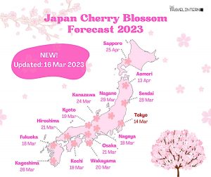 Ultimate 2023 Cherry Blossom Japan Guide — Everything you need to know ...