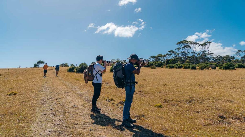 Maria Island Photographers - Tasmania Road Trip