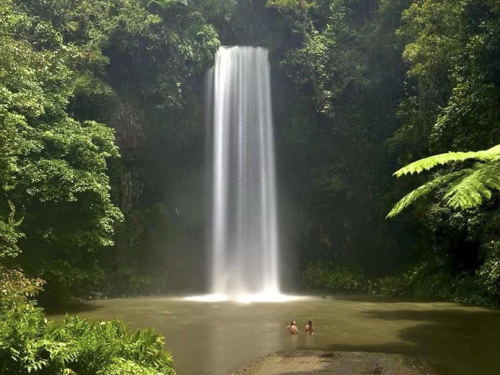 Millaa Millaa Waterfalls - Cairns Itinerary
