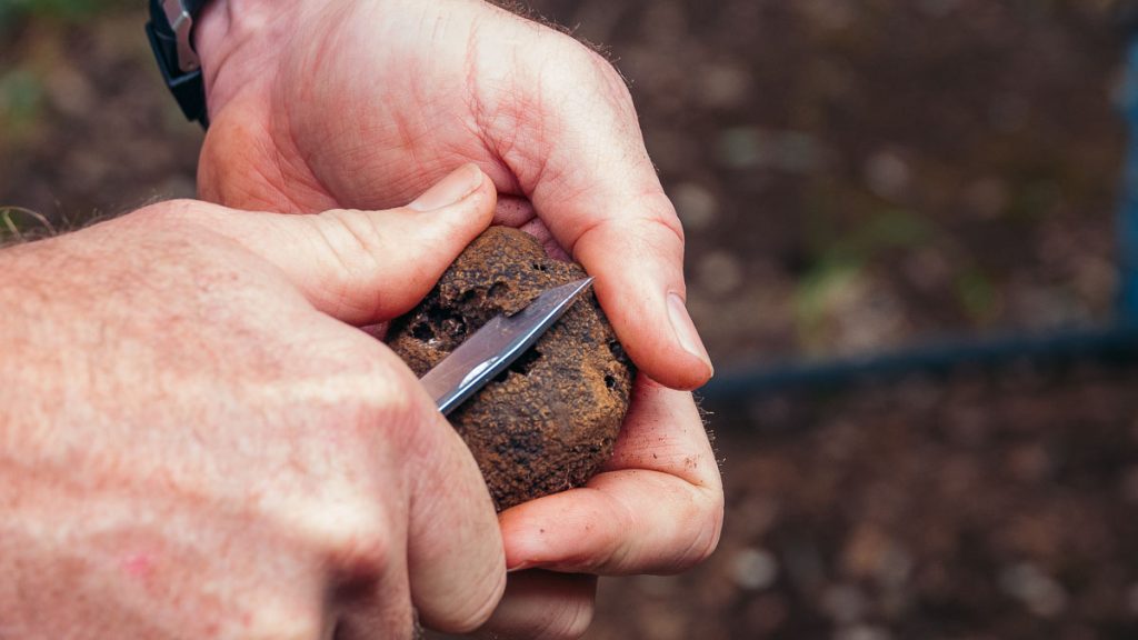 Southern Highlands Robertson Truffles Harvesting - New South Wales Itinerary