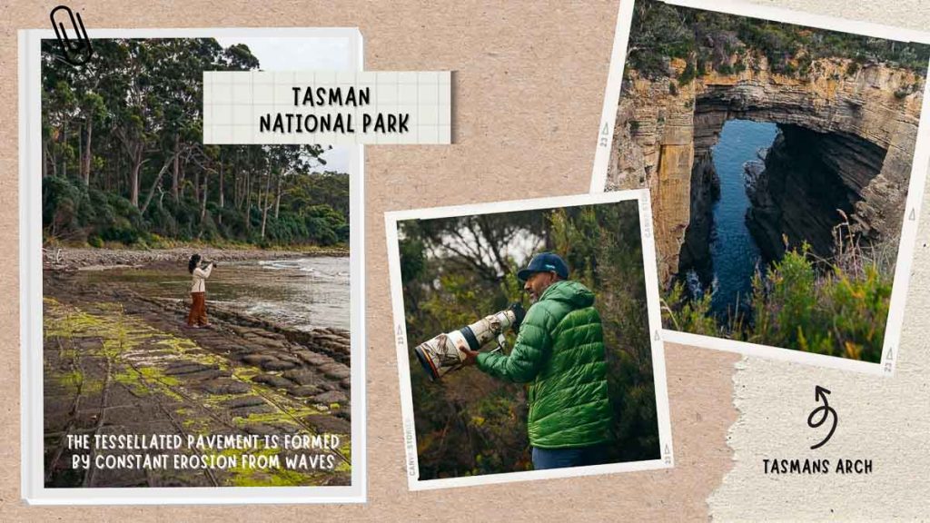 Tasman National Park Tessellated Pavement - Tasmania Road Trip