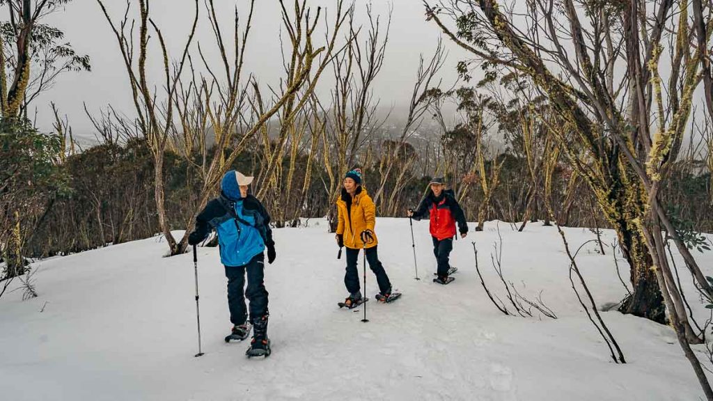 Thredbo Snowshoe Tour Winter - New South Wales Winter