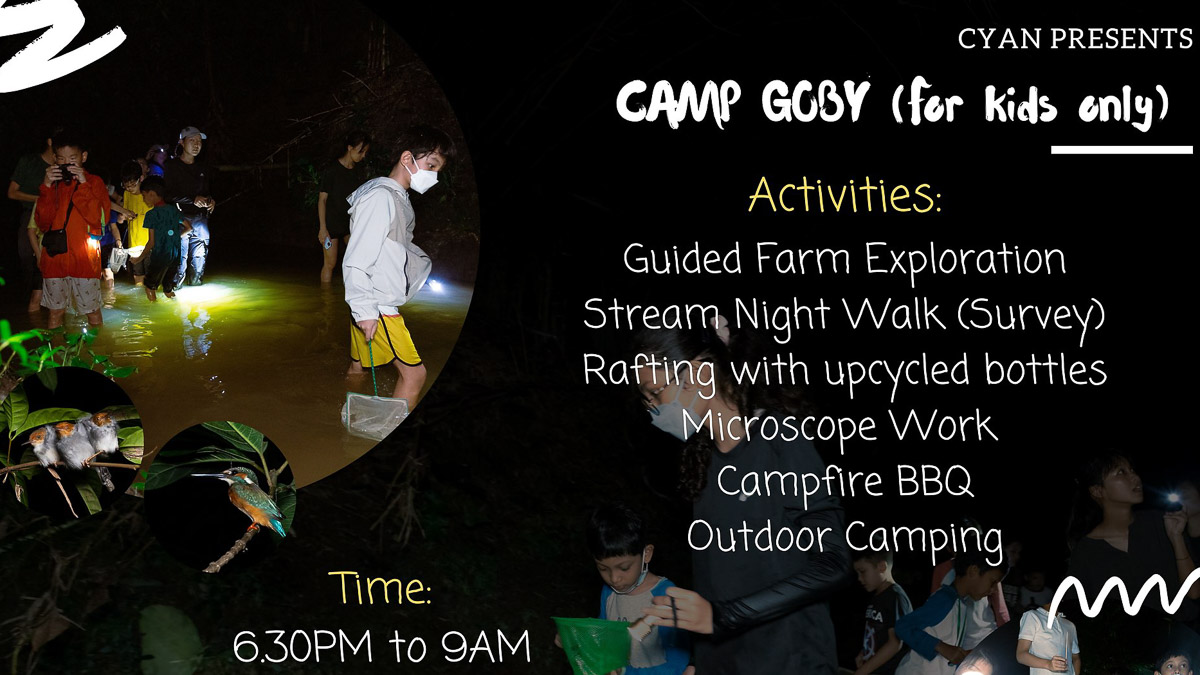 Singapore Staycations — Camp Goby for Kids