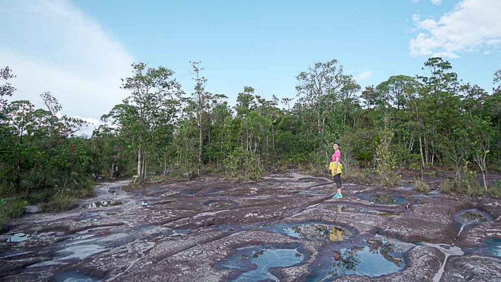 Bako National Park hike - SG Weekend getaways short flights from SG