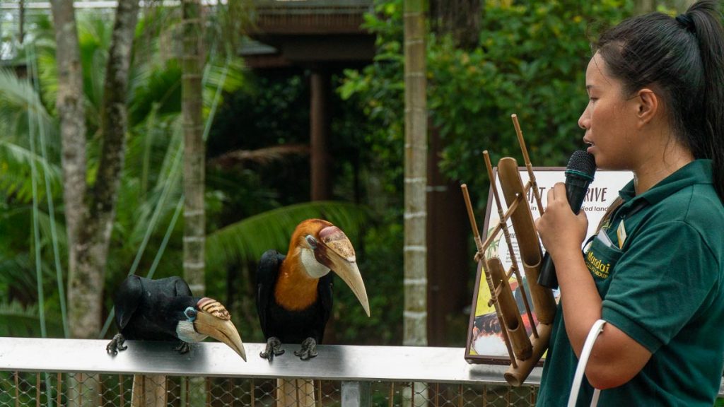 Keeper talk at Bird Paradise - things to do in Singapore