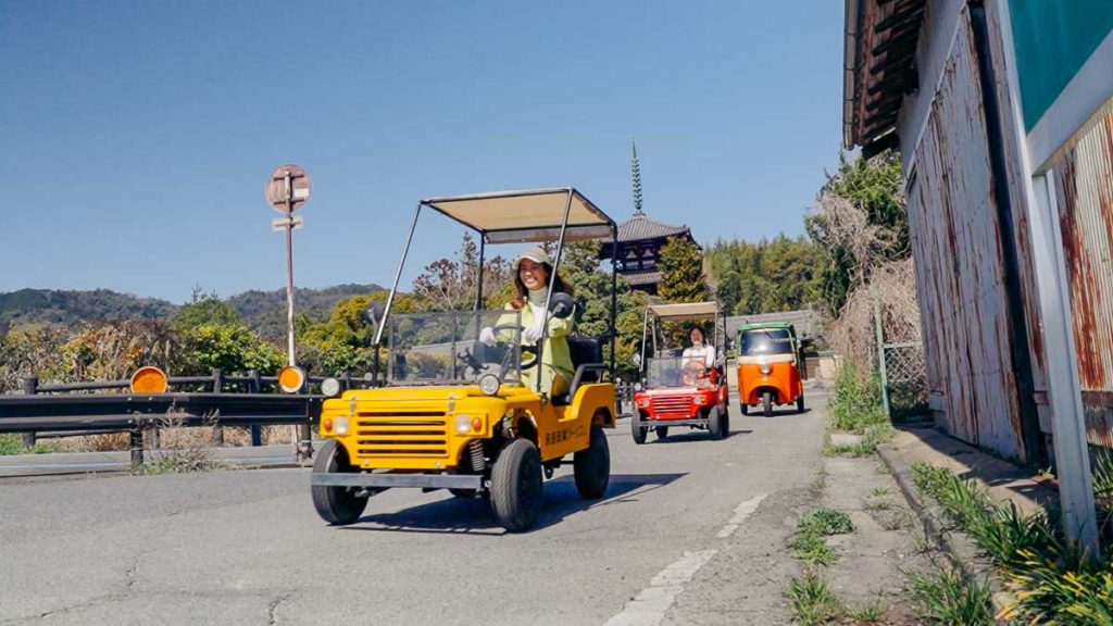 Nara Ikaruga Buggy Driving Tour - Japan itineraries