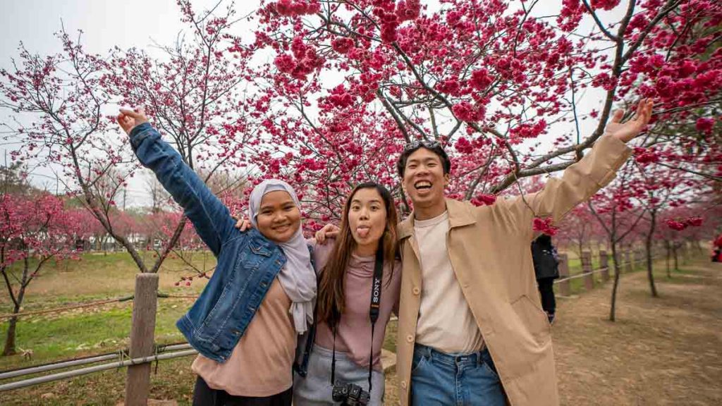 three friends posing in front of cherry blossoms - things to do in Taiwan