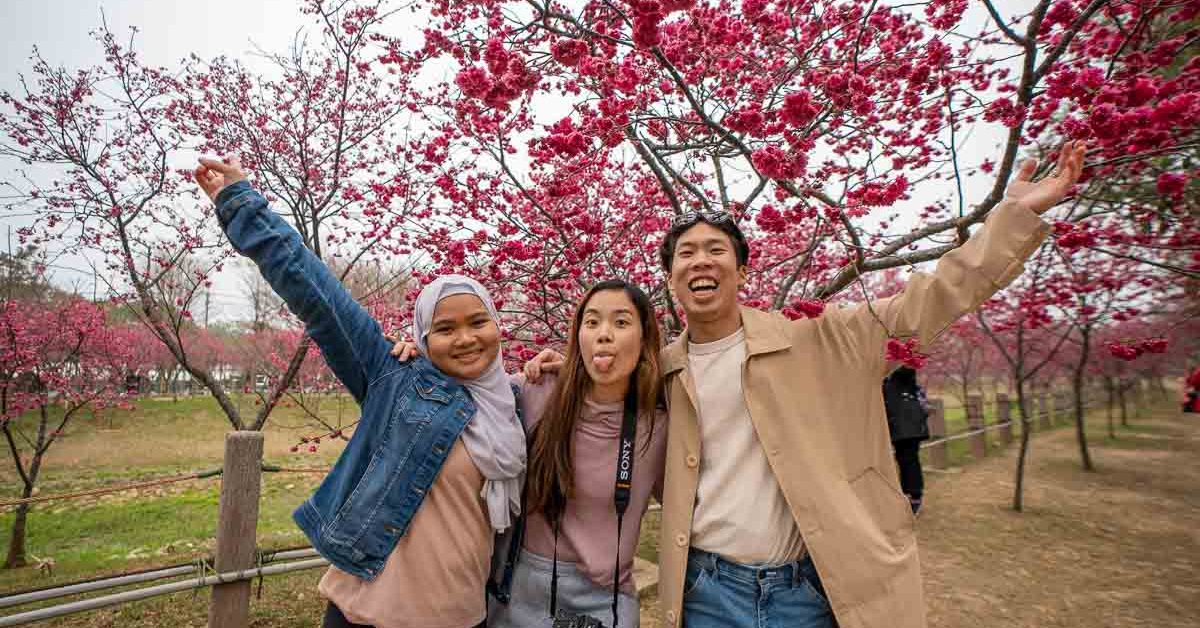 three friends posing in front of cherry blossoms - things to do in Taiwan